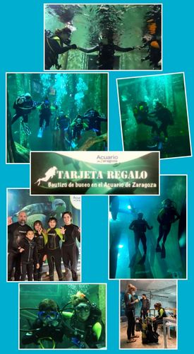 Regala un bautizo de Buceo en el Acuario de Zaragoza